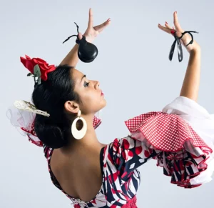flamenco-corsi